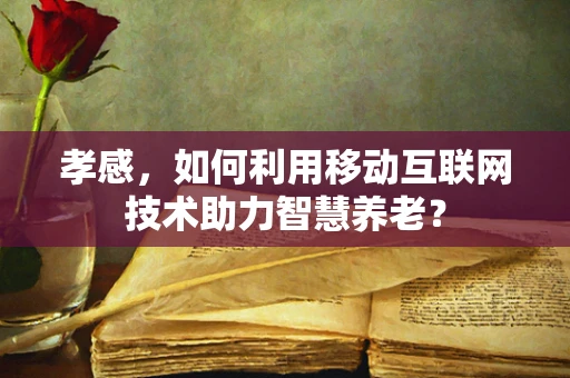 孝感，如何利用移动互联网技术助力智慧养老？