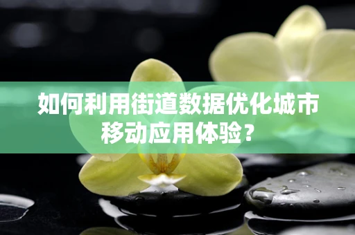 如何利用街道数据优化城市移动应用体验？