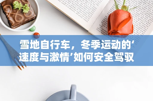 雪地自行车，冬季运动的‘速度与激情’如何安全驾驭？