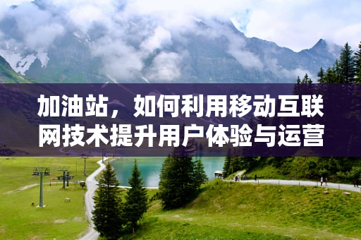 加油站，如何利用移动互联网技术提升用户体验与运营效率？