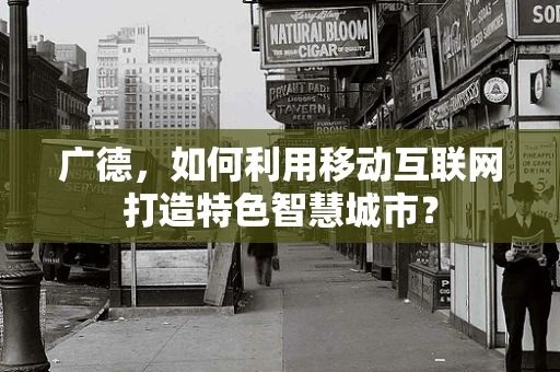 广德，如何利用移动互联网打造特色智慧城市？