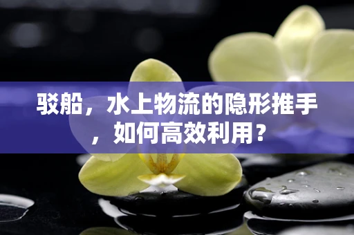 驳船，水上物流的隐形推手，如何高效利用？