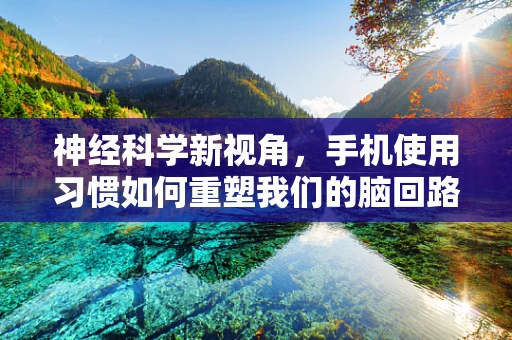 神经科学新视角，手机使用习惯如何重塑我们的脑回路？
