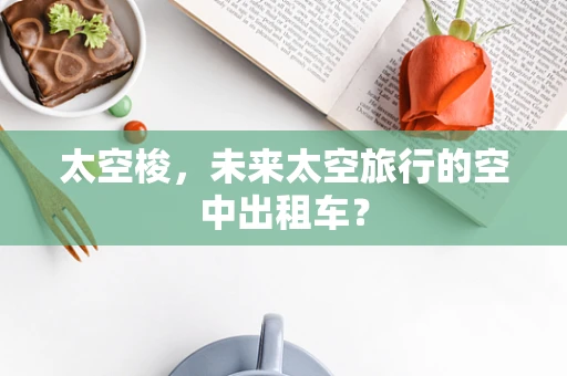 太空梭，未来太空旅行的空中出租车？