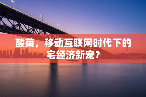 酸菜，移动互联网时代下的宅经济新宠？