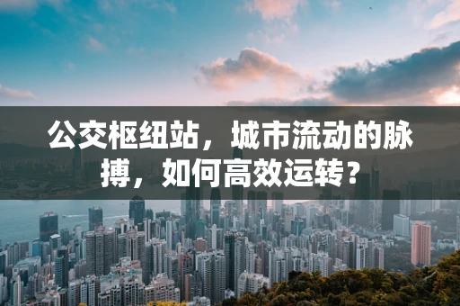 公交枢纽站，城市流动的脉搏，如何高效运转？