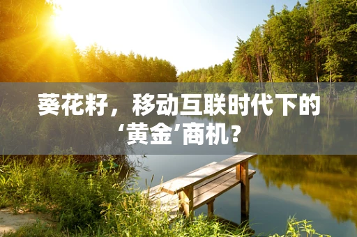葵花籽，移动互联时代下的‘黄金’商机？