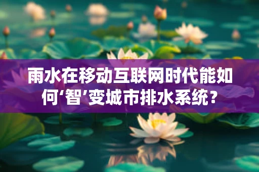 雨水在移动互联网时代能如何‘智’变城市排水系统？