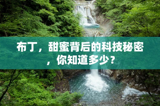 布丁，甜蜜背后的科技秘密，你知道多少？
