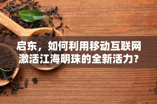 启东，如何利用移动互联网激活江海明珠的全新活力？