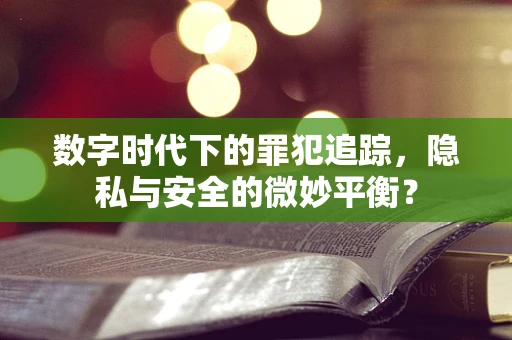 数字时代下的罪犯追踪，隐私与安全的微妙平衡？
