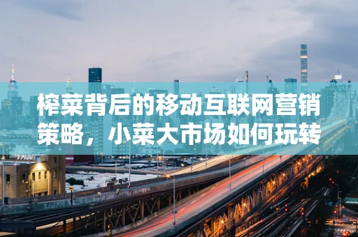 榨菜背后的移动互联网营销策略，小菜大市场如何玩转数字时代？