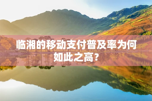 临湘的移动支付普及率为何如此之高？