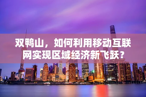 双鸭山，如何利用移动互联网实现区域经济新飞跃？