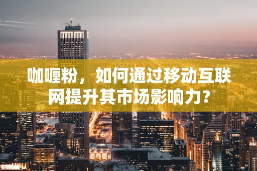 咖喱粉，如何通过移动互联网提升其市场影响力？