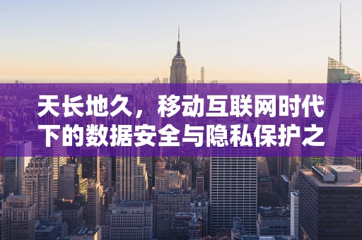 天长地久，移动互联网时代下的数据安全与隐私保护之问