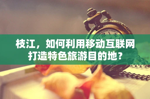 枝江，如何利用移动互联网打造特色旅游目的地？