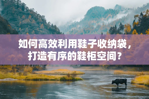 如何高效利用鞋子收纳袋，打造有序的鞋柜空间？
