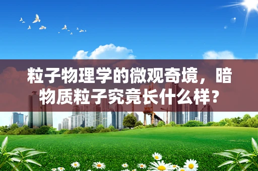 粒子物理学的微观奇境，暗物质粒子究竟长什么样？