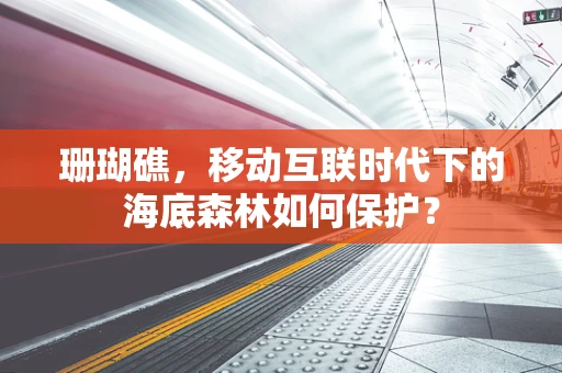珊瑚礁，移动互联时代下的海底森林如何保护？