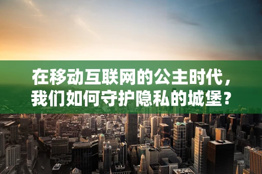 在移动互联网的公主时代，我们如何守护隐私的城堡？