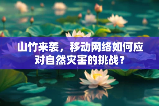 山竹来袭，移动网络如何应对自然灾害的挑战？