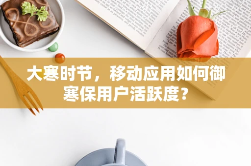 大寒时节，移动应用如何御寒保用户活跃度？