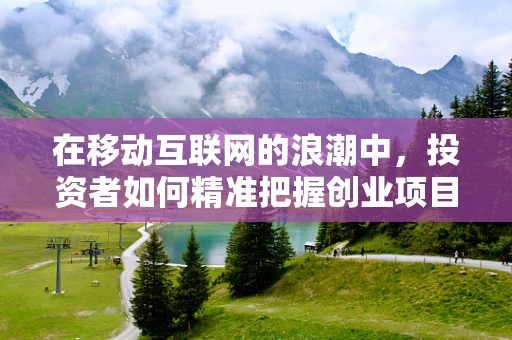 在移动互联网的浪潮中，投资者如何精准把握创业项目的‘脉搏’？