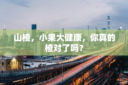 山楂，小果大健康，你真的楂对了吗？