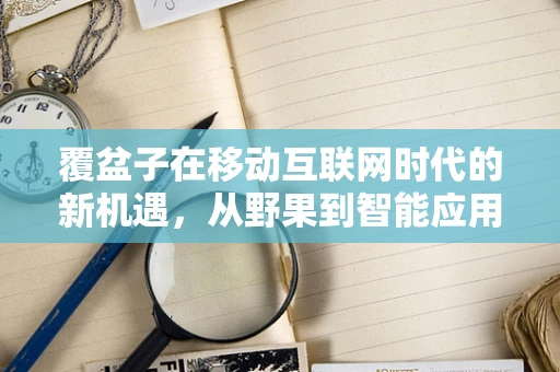 覆盆子在移动互联网时代的新机遇，从野果到智能应用？