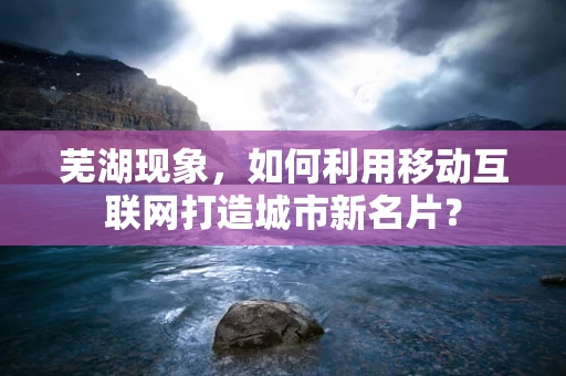 芜湖现象，如何利用移动互联网打造城市新名片？