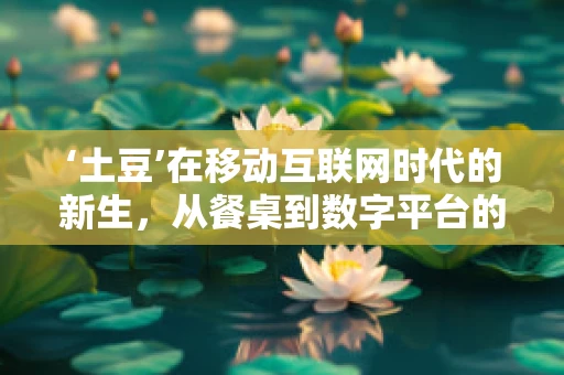‘土豆’在移动互联网时代的新生，从餐桌到数字平台的转型？