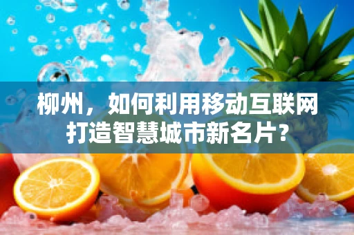 柳州，如何利用移动互联网打造智慧城市新名片？