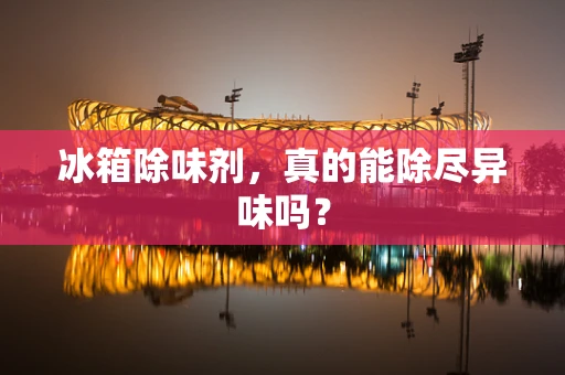 冰箱除味剂，真的能除尽异味吗？