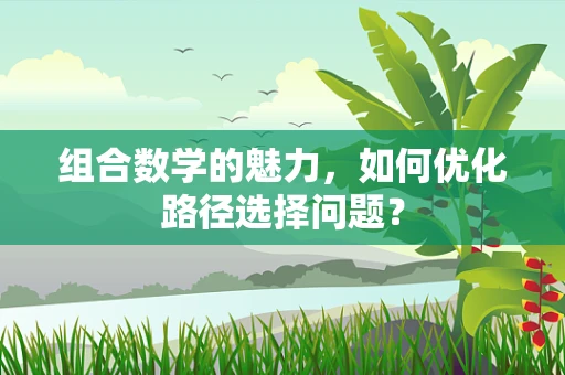 组合数学的魅力，如何优化路径选择问题？